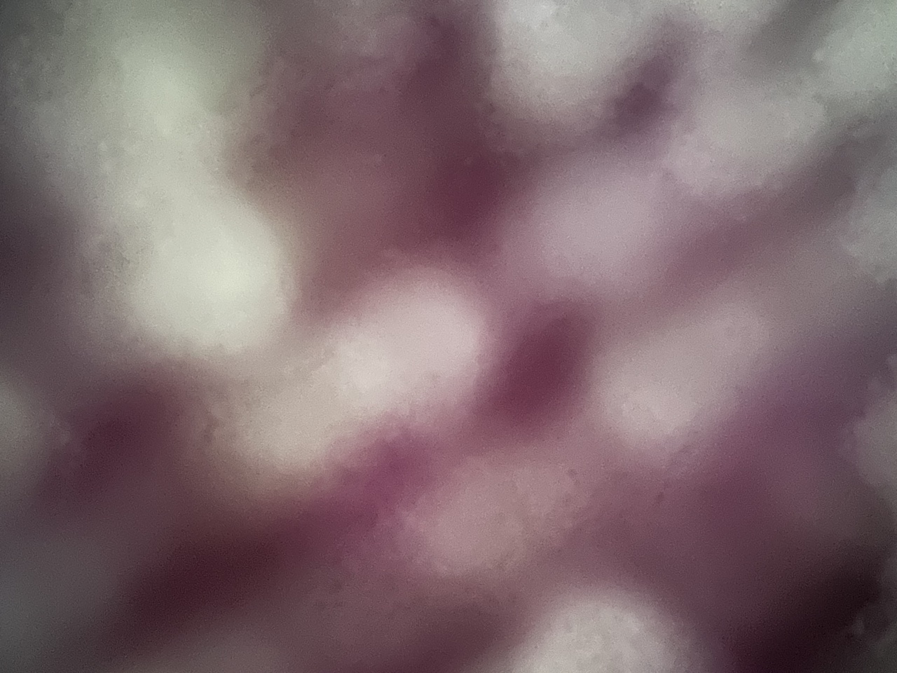 Resonoivat kehot - Liike ja ääni cover